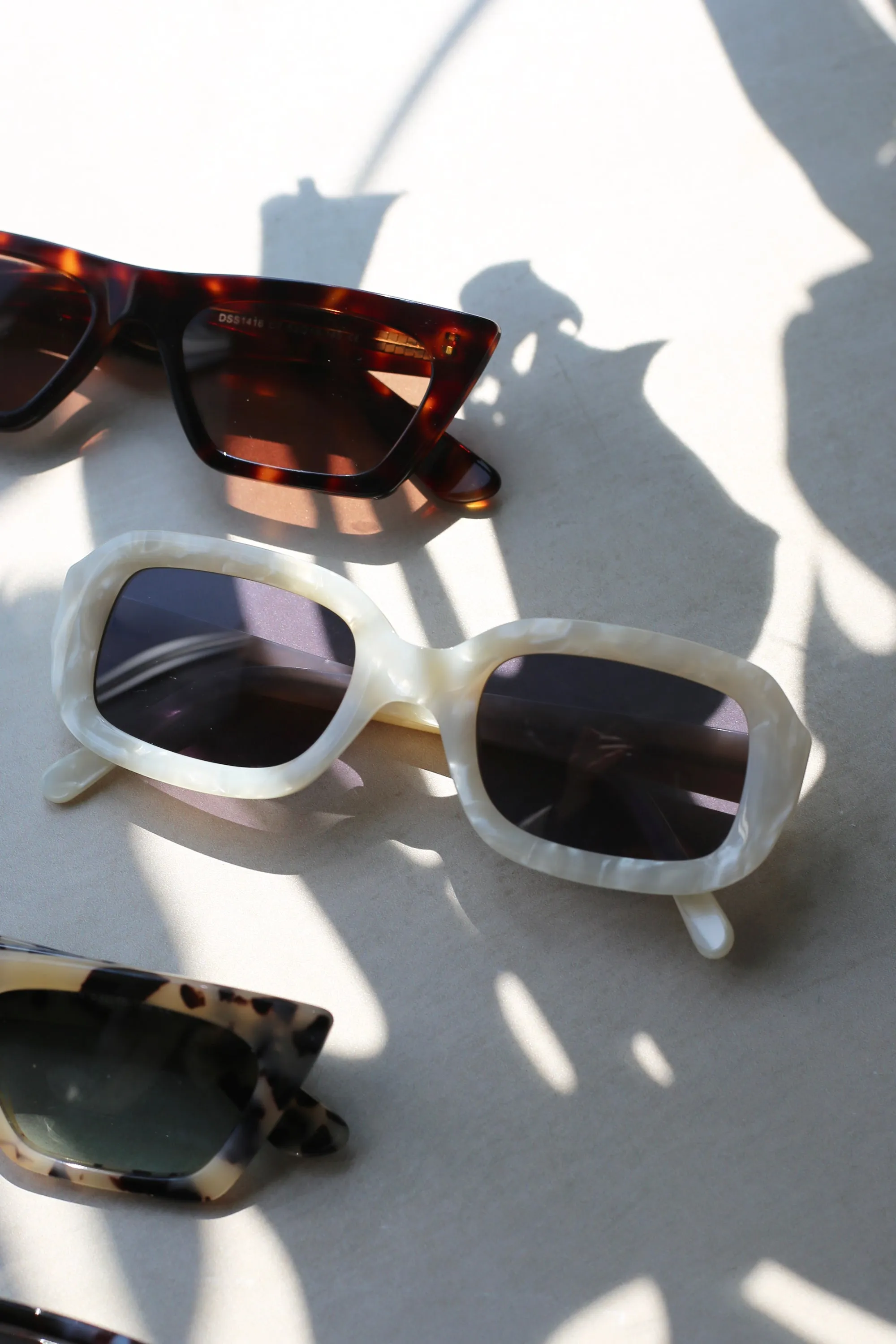 Oyster Sunglasses